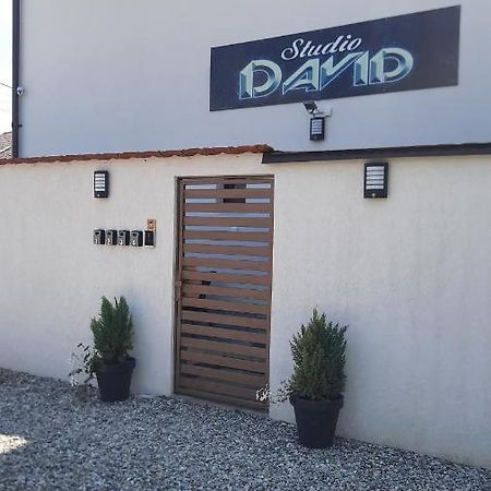 *Studio David* Sibiu Buitenkant foto