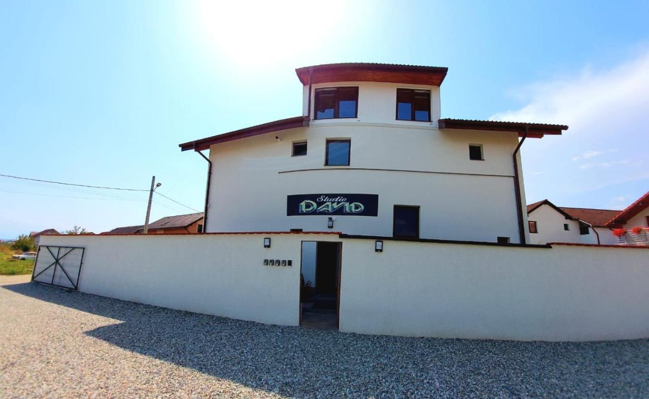 *Studio David* Sibiu Buitenkant foto
