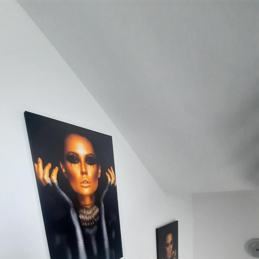 *Studio David* Sibiu Buitenkant foto
