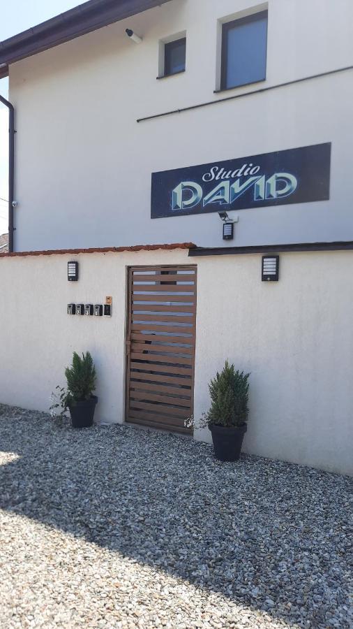 *Studio David* Sibiu Buitenkant foto